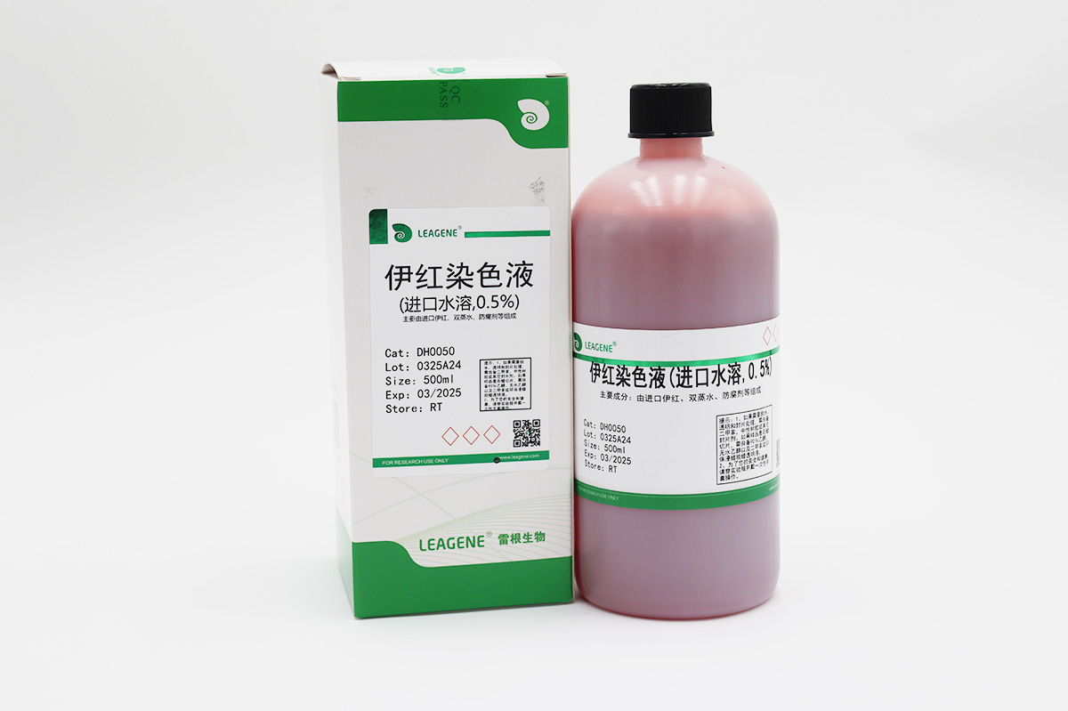 伊紅染色液(進口水溶,0.5%)