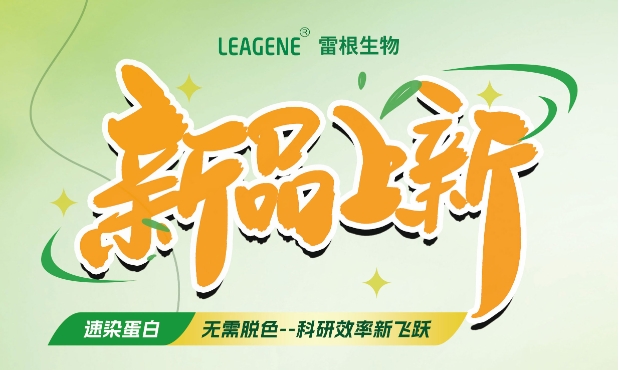 最新力作【考馬斯亮藍快速染色液（免脫色版）】，正式加入我們的產(chǎn)品家族！